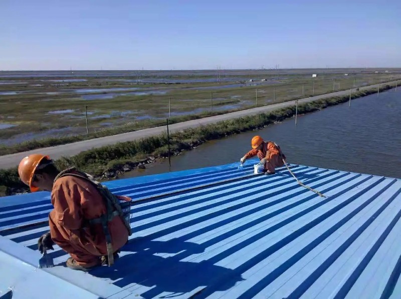 新蔡彩钢瓦屋面防腐翻新